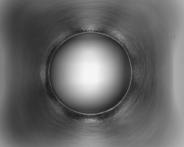 X0000089900586200707051309