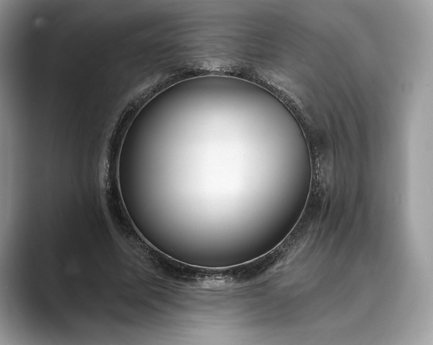 X0000089900587200707051309