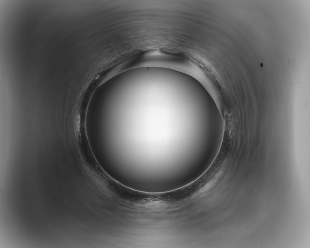 X0000089900589200707051309