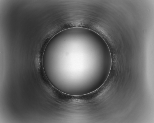 X0000089900590200707051309