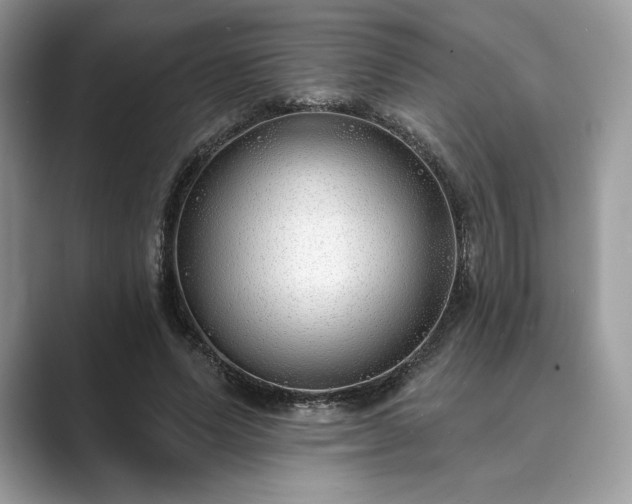 X0000089900591200707051309