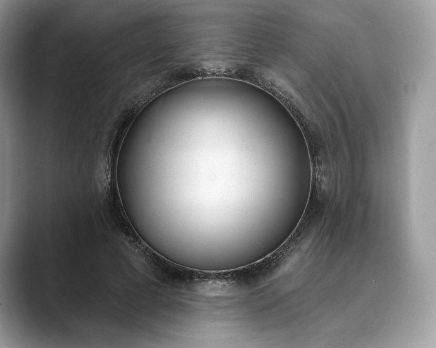 X0000089900593200707051309