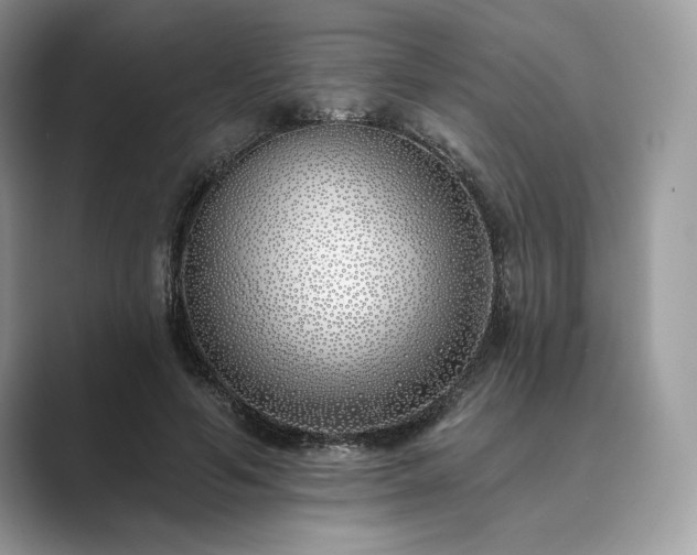 X0000089900594200707051309