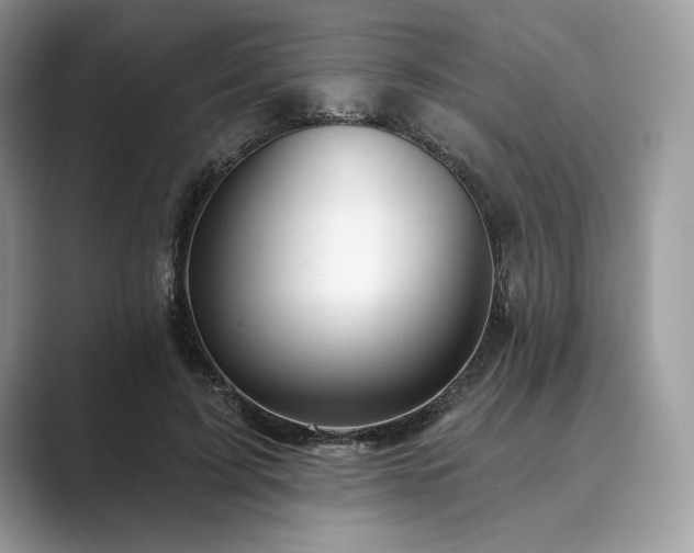 X0000089900595200707051309