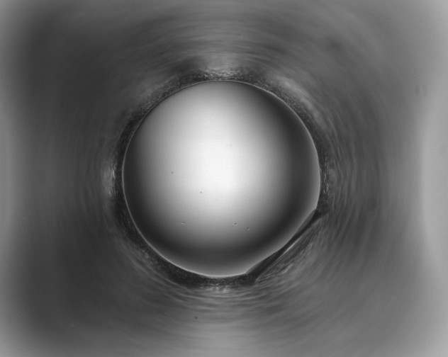 X0000089900596200707051309