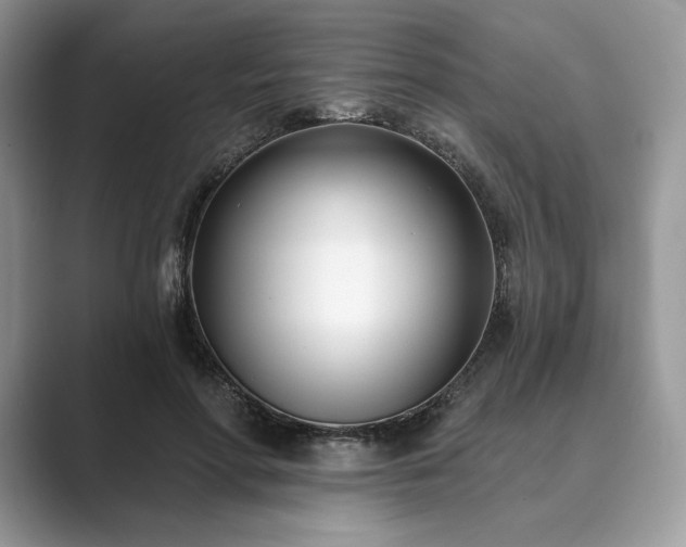 X0000089900598200707051309
