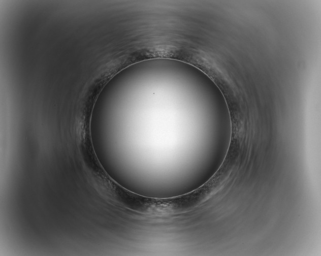 X0000089900599200707051309