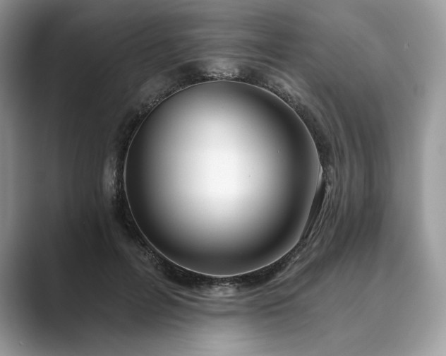 X0000089900600200707051309