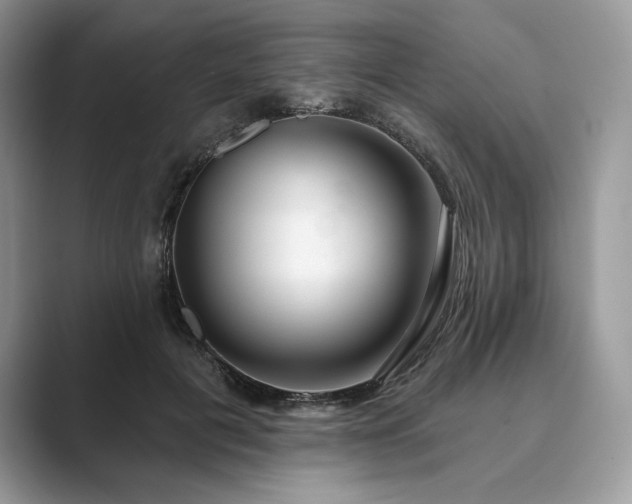 X0000089900601200707051309