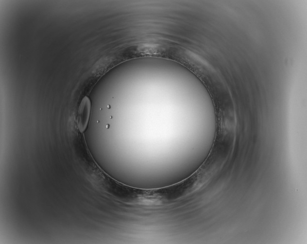 X0000089900603200707051309