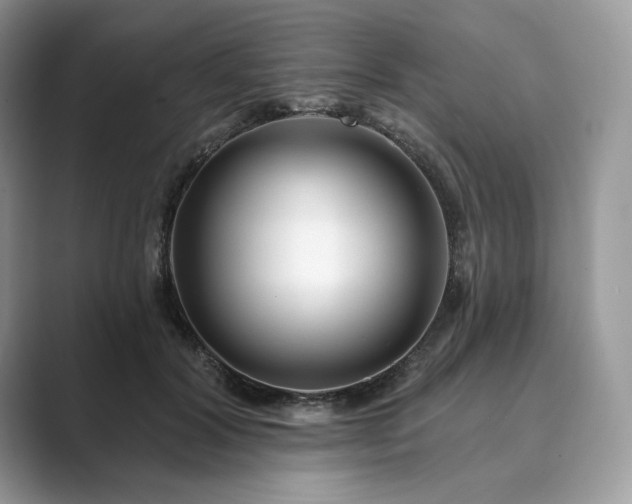 X0000089900604200707051309