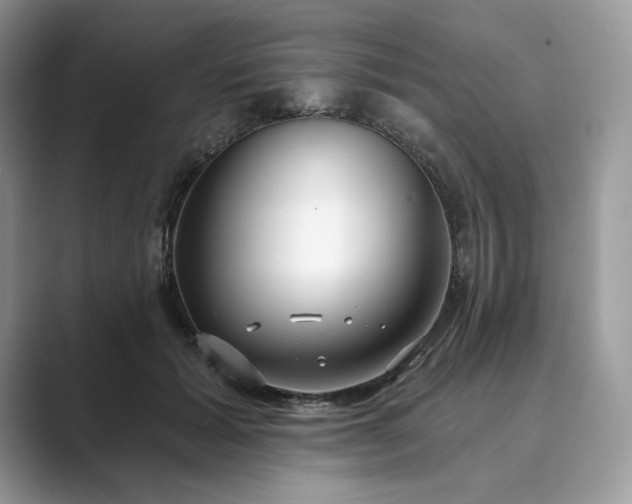 X0000089900605200707051309