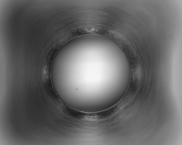 X0000089900606200707051309