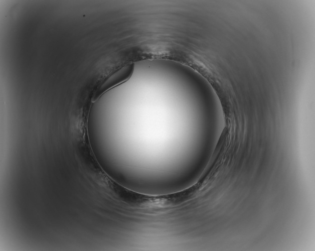 X0000089900609200707051309