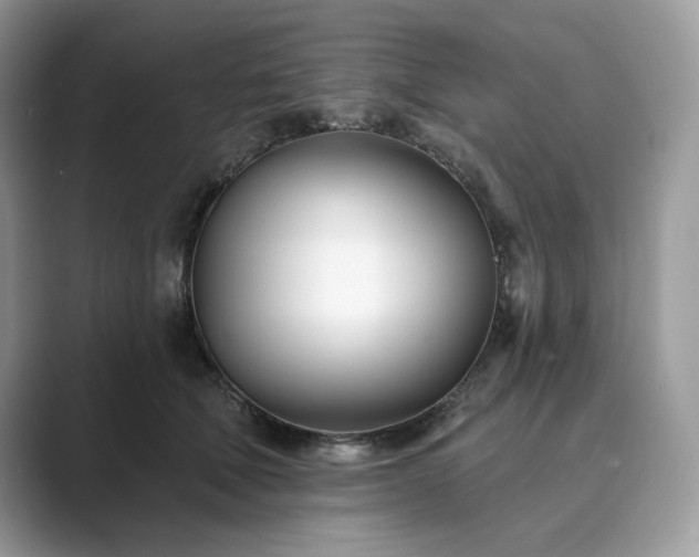 X0000089900610200707051309
