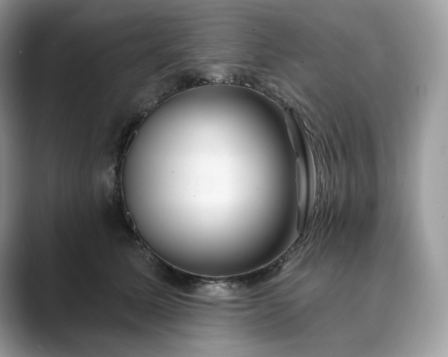 X0000089900611200707051309