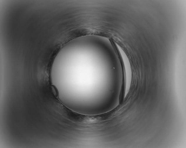 X0000089900613200707051309
