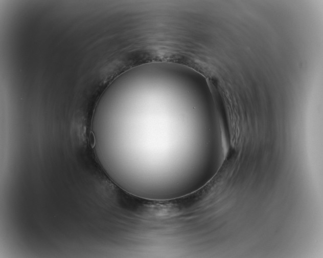 X0000089900615200707051309