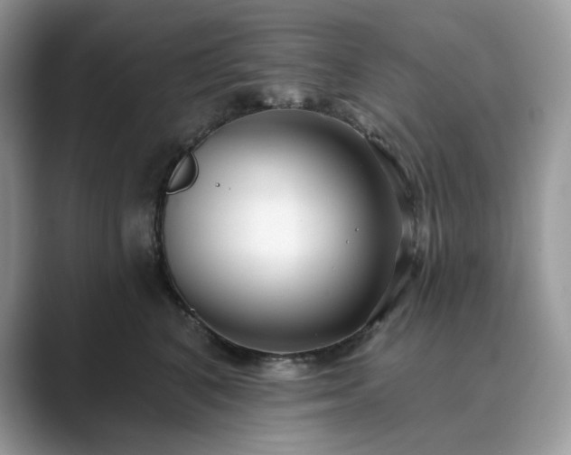 X0000089900616200707051309