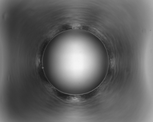 X0000089900618200707051309