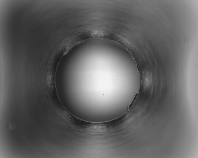 X0000089900619200707051309