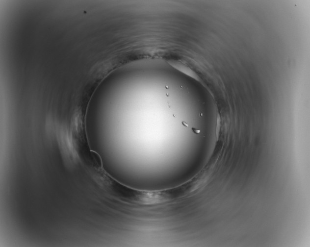 X0000089900623200707051309