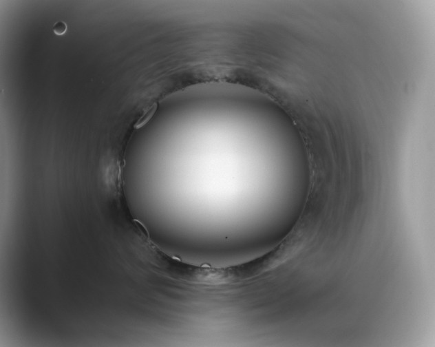 X0000089900624200707051309