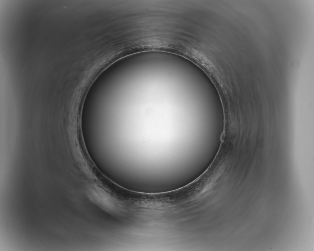 X0000089900625200707051308