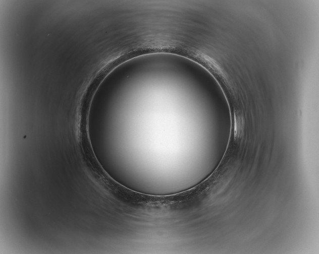 X0000089900627200707051308