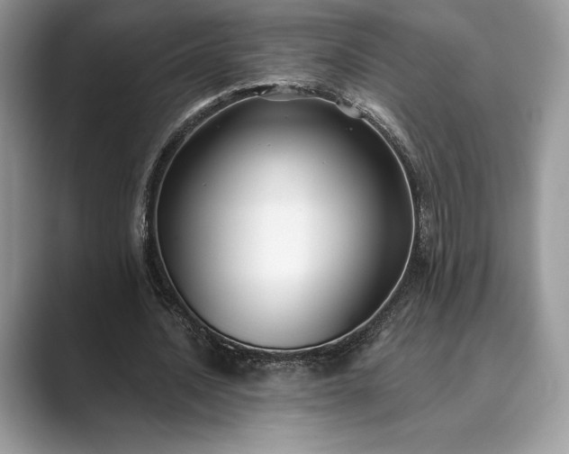 X0000089900628200707051308