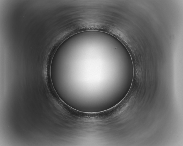 X0000089900629200707051308