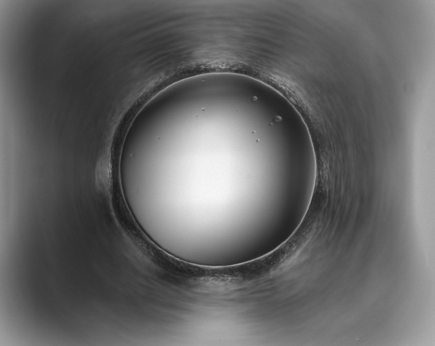 X0000089900630200707051308