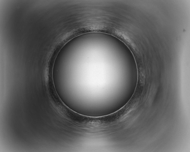 X0000089900631200707051308