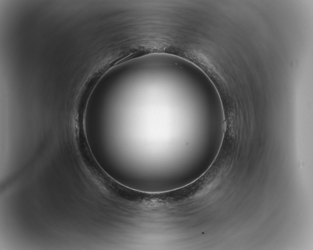 X0000089900634200707051308