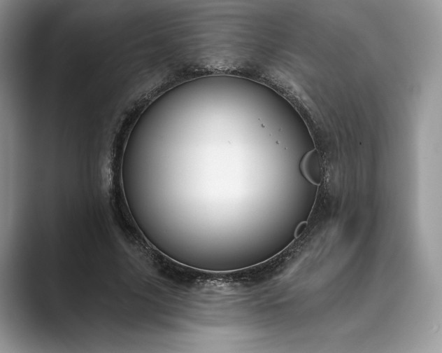 X0000089900635200707051308
