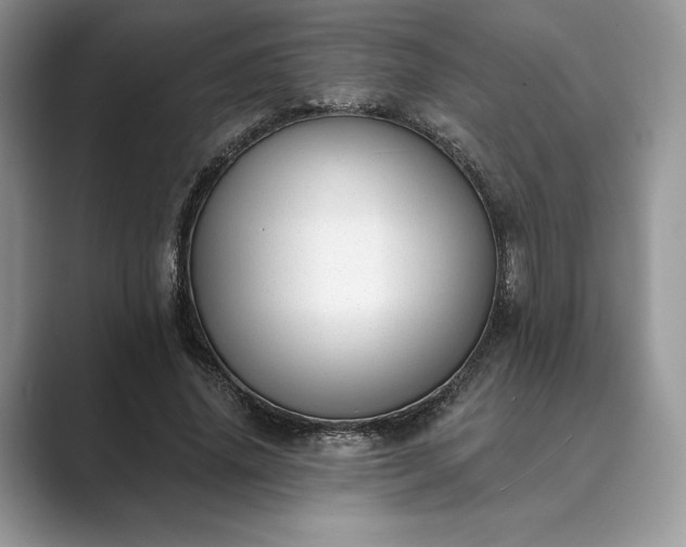 X0000089900636200707051308
