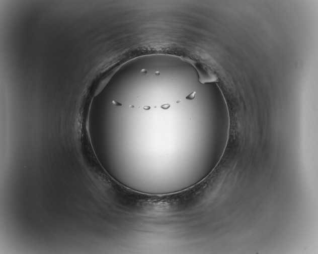 X0000089900640200707051308