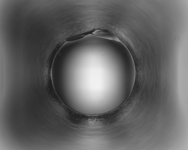 X0000089900641200707051308