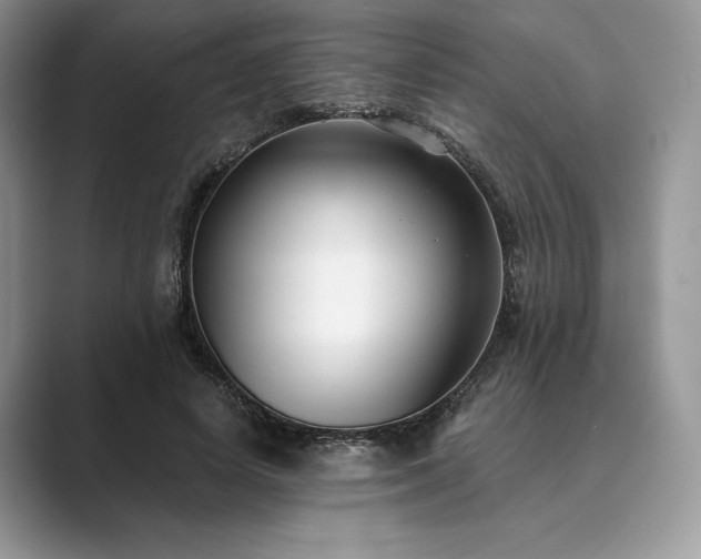 X0000089900642200707051308