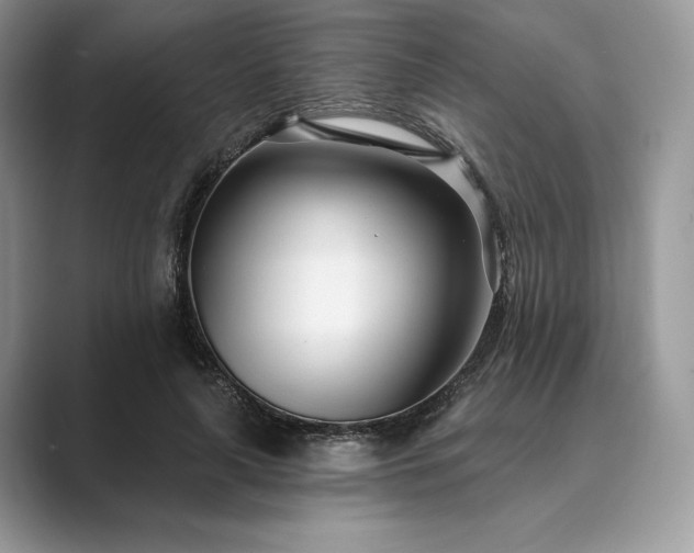 X0000089900643200707051308