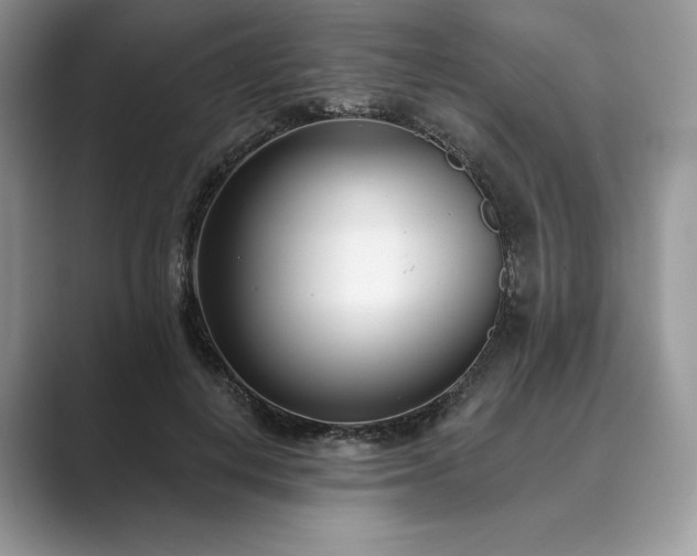 X0000089900648200707051308
