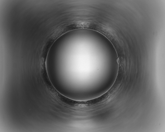 X0000089900649200707051308