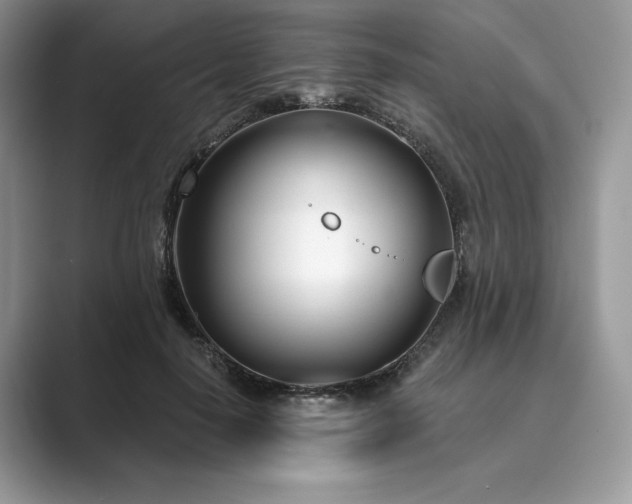X0000089900650200707051308