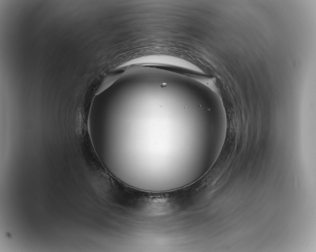 X0000089900651200707051308