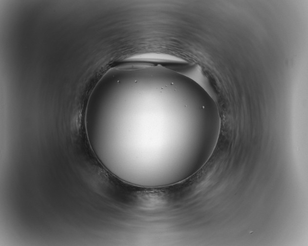 X0000089900652200707051308