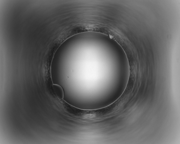 X0000089900653200707051308