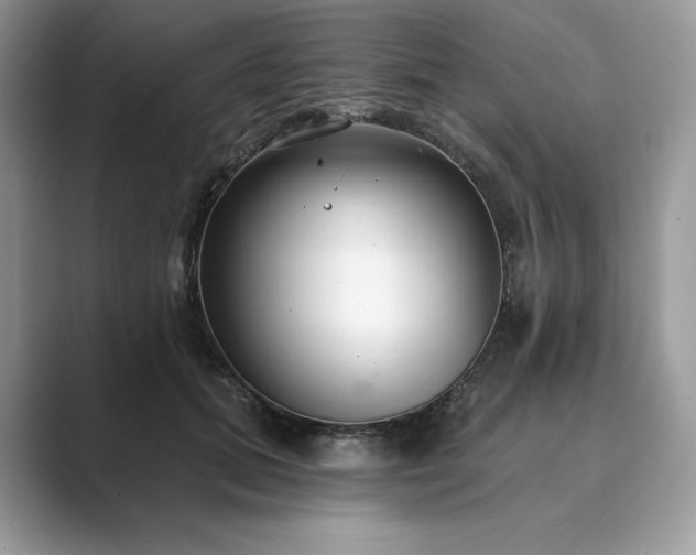 X0000089900655200707051308