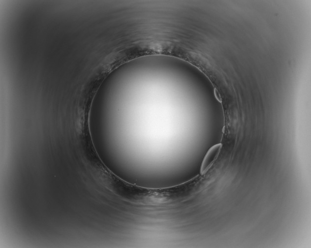 X0000089900656200707051309