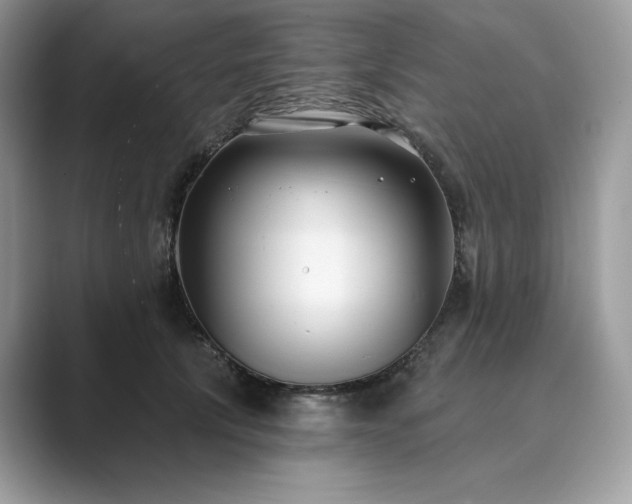 X0000089900657200707051309