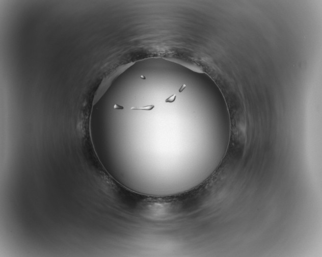X0000089900658200707051309